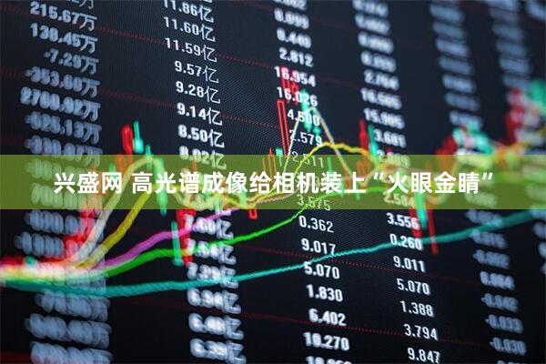 兴盛网 高光谱成像给相机装上“火眼金睛”