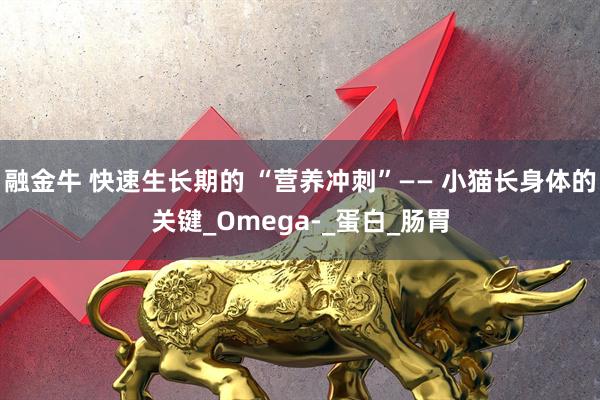融金牛 快速生长期的 “营养冲刺”—— 小猫长身体的关键_Omega-_蛋白_肠胃