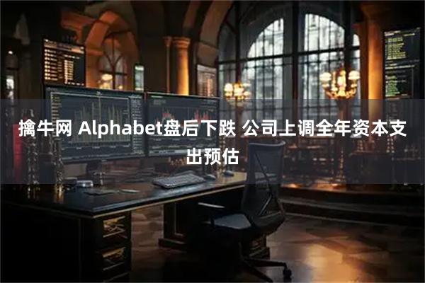 擒牛网 Alphabet盘后下跌 公司上调全年资本支出预估