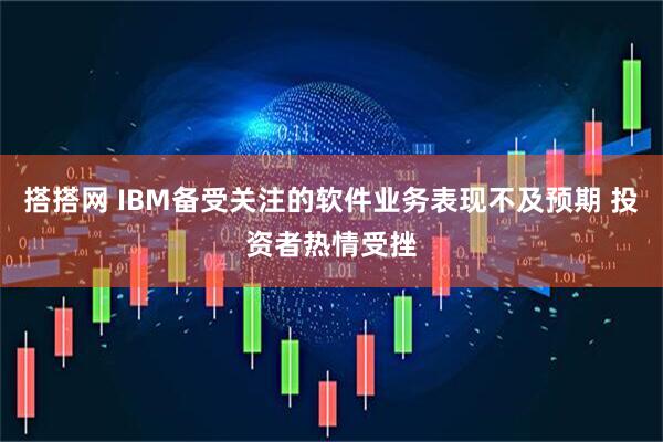 搭搭网 IBM备受关注的软件业务表现不及预期 投资者热情受挫