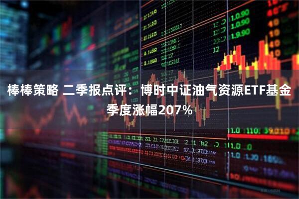 棒棒策略 二季报点评：博时中证油气资源ETF基金季度涨幅207%