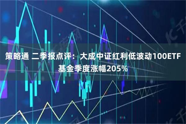 策略通 二季报点评：大成中证红利低波动100ETF基金季度涨幅205%