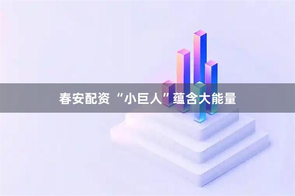 春安配资 “小巨人”蕴含大能量