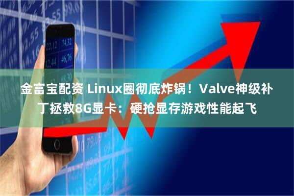 金富宝配资 Linux圈彻底炸锅!Valve神级补丁拯救8G显卡:硬抢显存游戏性能起飞